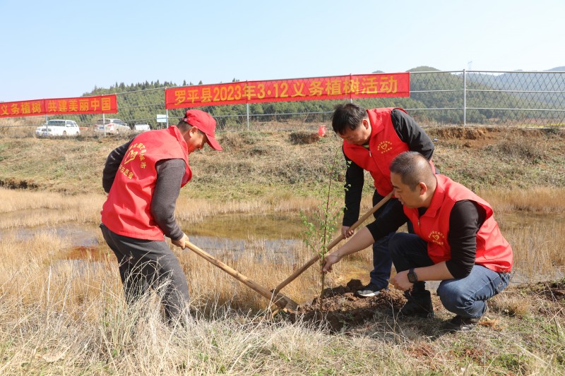 1678671934940226.jpg F09A1761.JPG