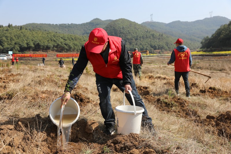 1678671951345174.jpg F09A1773.JPG