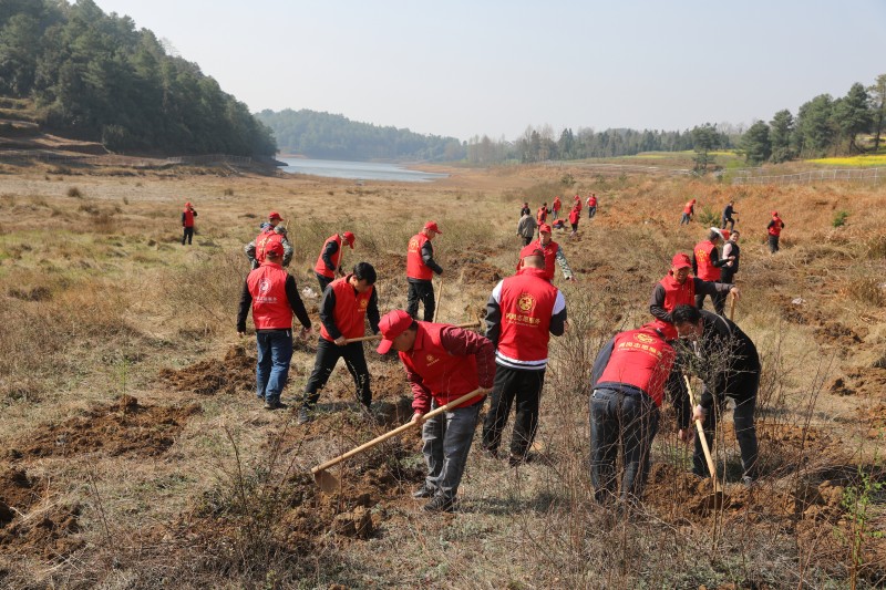 1678671967809426.jpg F09A1768.JPG