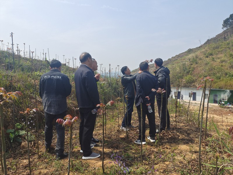 1678928313905436.jpg IMG_20230314_122619.jpg