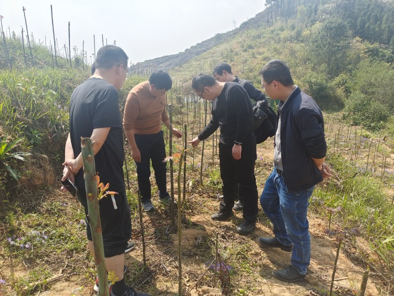 1678928327799382.jpg IMG_20230314_143132.jpg