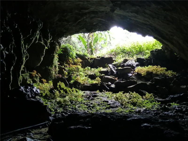 1678929413346118.png S8T0V6M$[4_)PVO[P}6YR~6.png