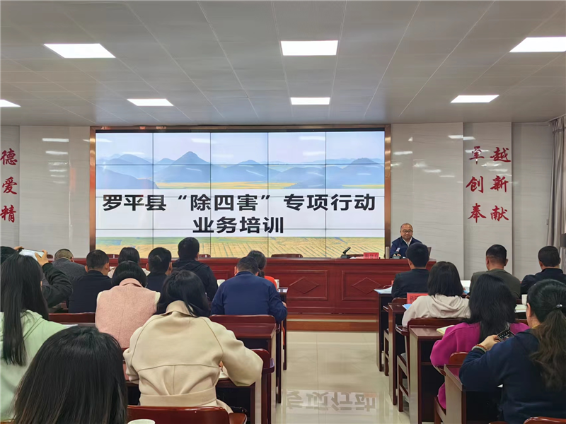 1679273810754278.png 图片5.png