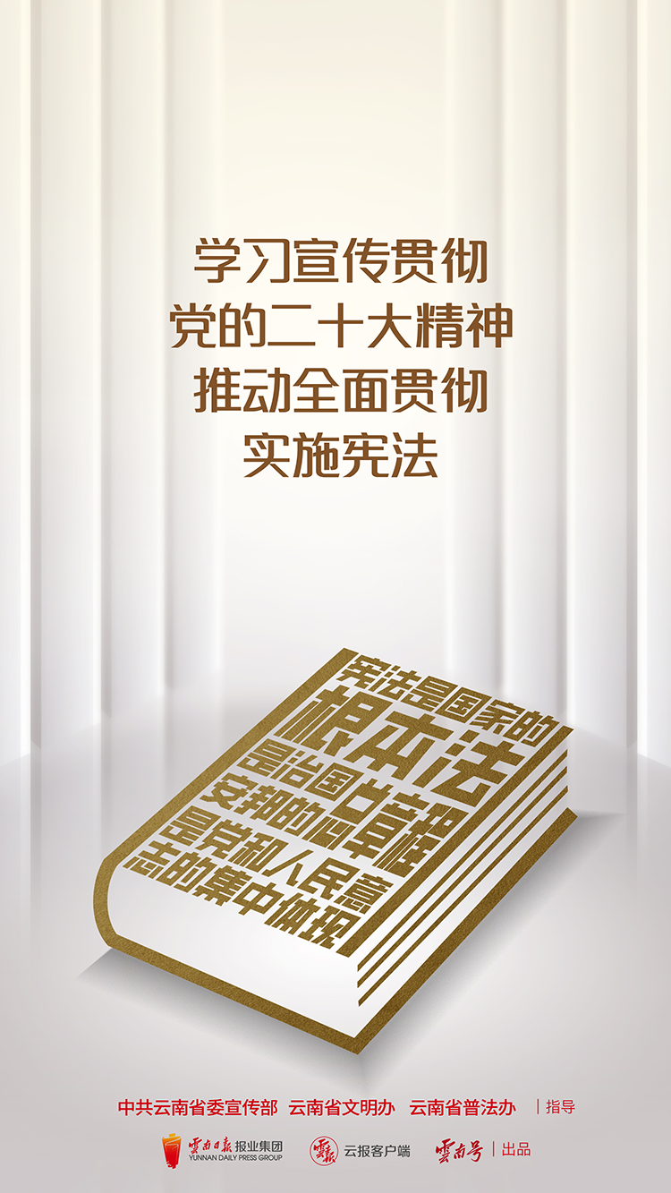 学习宣传贯彻党的二十大精神 推动全面贯彻实施宪法 竖版.png