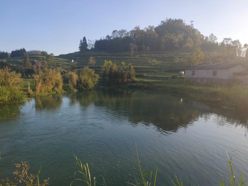 1680051273291530.jpg 27afdfeeca1e8930fbe576de349dfce.jpg