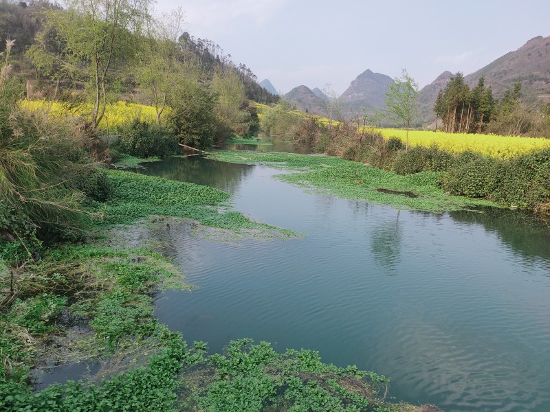 1680051323298201.jpg 微信图片_20230328151519.jpg