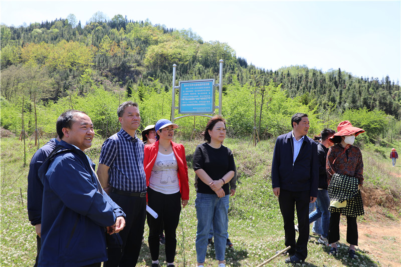 1680831210521879.jpg 微信图片_20230406090244.jpg