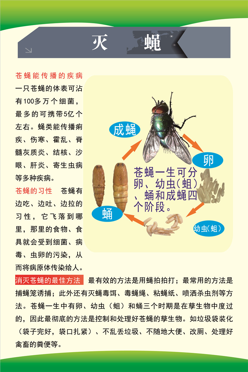 10.罗平县2023年爱卫月宣传（四害防控-灭蝇）.JPG