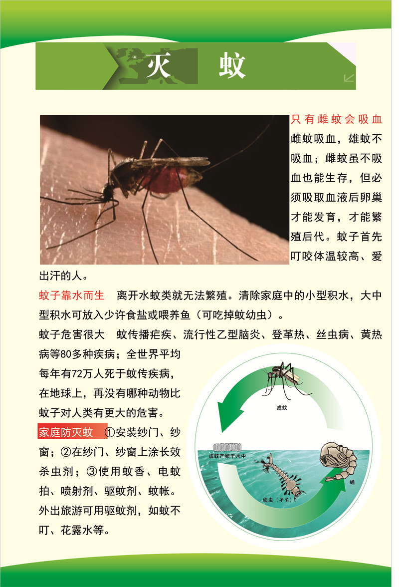 11.罗平县2023年爱卫月宣传（四害防控-灭蚊）.JPG