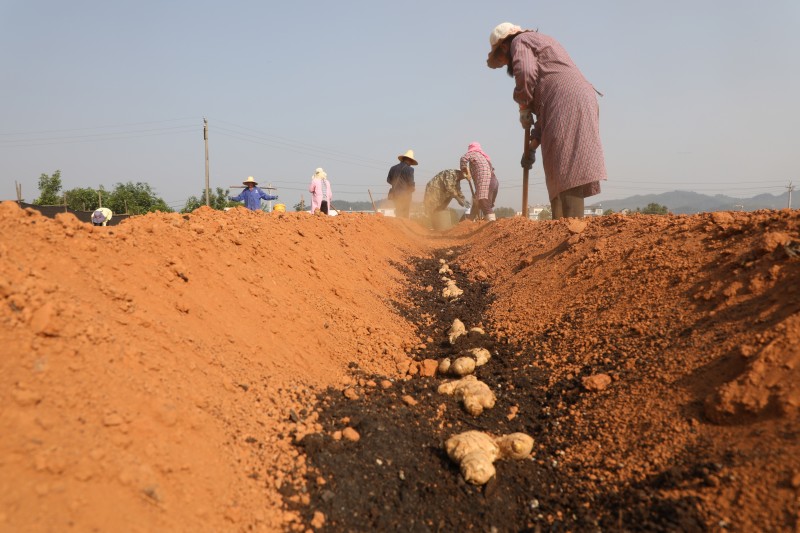 1681958925531051.jpg 188A0780.JPG