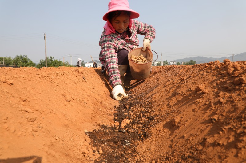 1681958941387418.jpg 188A0802.JPG