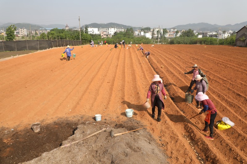 1681958958887862.jpg 188A0809.JPG