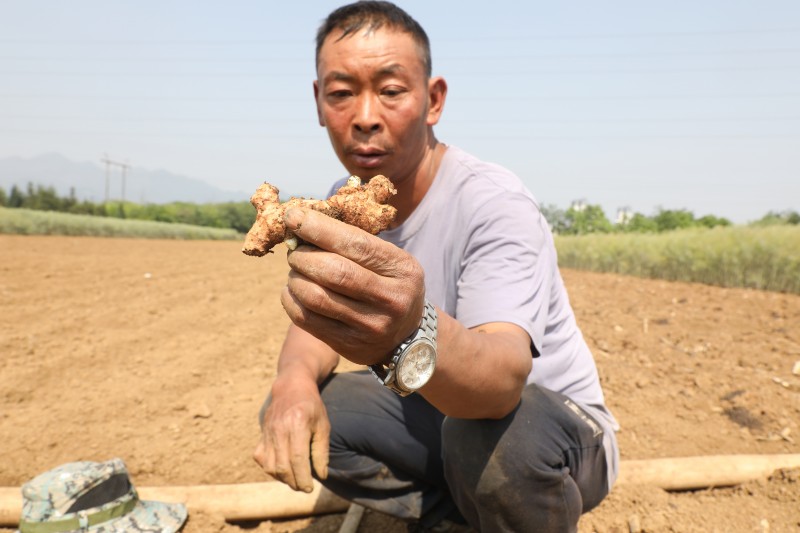 1681958972718545.jpg 188A0825.JPG