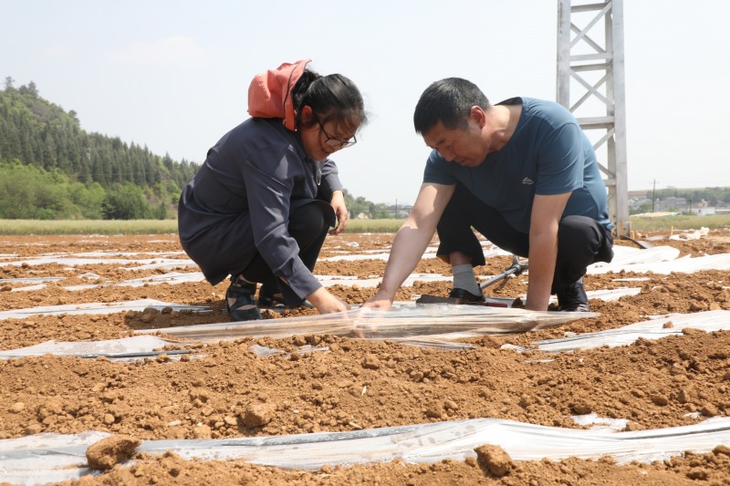 1681959002395355.jpg 188A0832.JPG