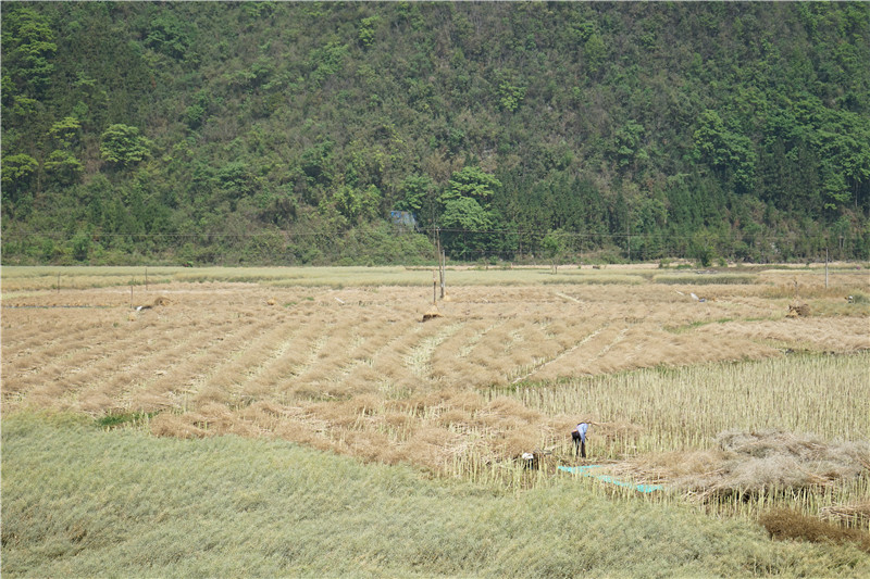 1683170596643957.jpg DSC09789.JPG