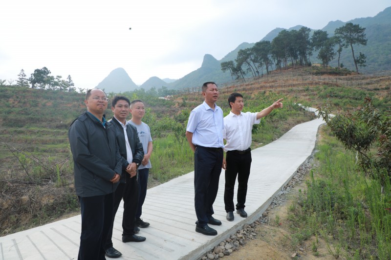 1683765799628239.jpg 1N9A0859.JPG