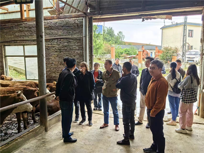 1684372079296477.png 1c590a20fdd6b6c2259744ca82d921a.png