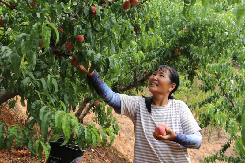 1684717252683063.jpg IMG_6310.JPG