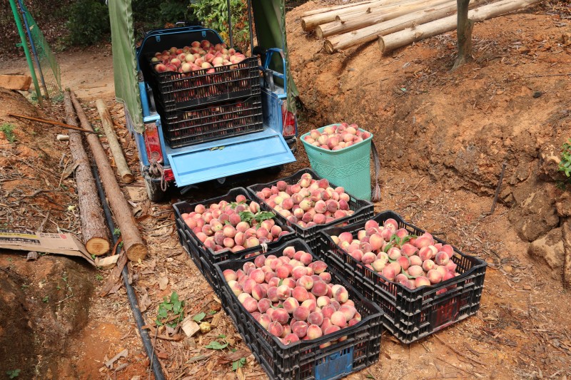 1684717266562692.jpg IMG_6279.JPG