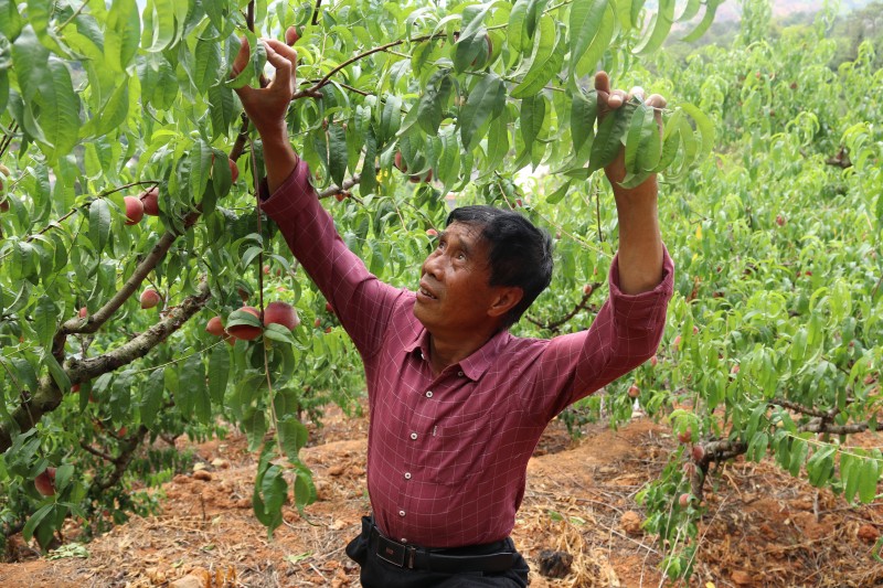 1684717292556345.jpg IMG_6325.JPG