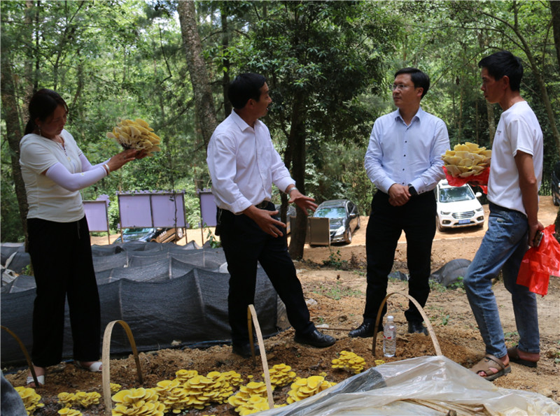 1684720586145412.jpg 3.jpg