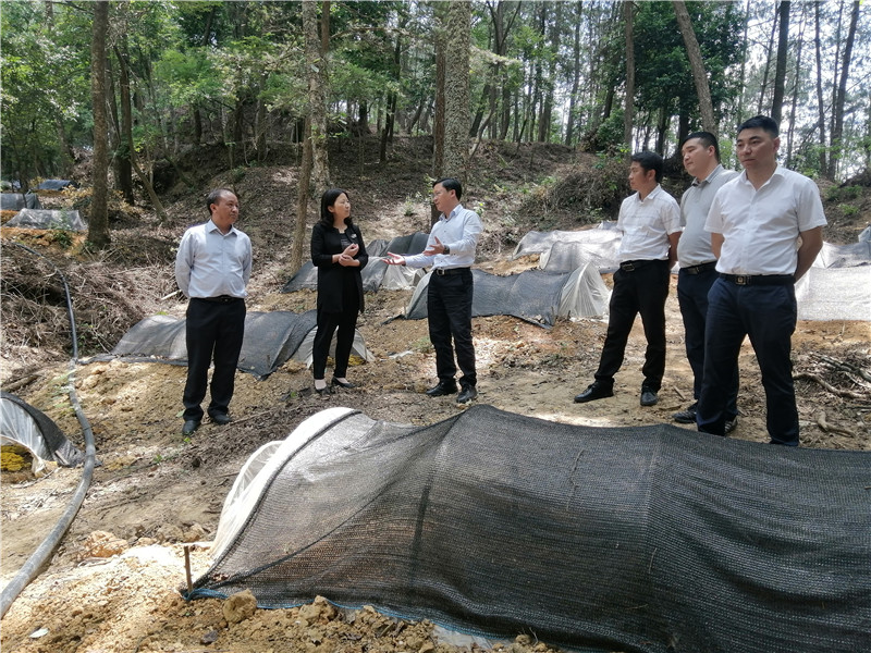 1684720644890453.jpg 4.jpg