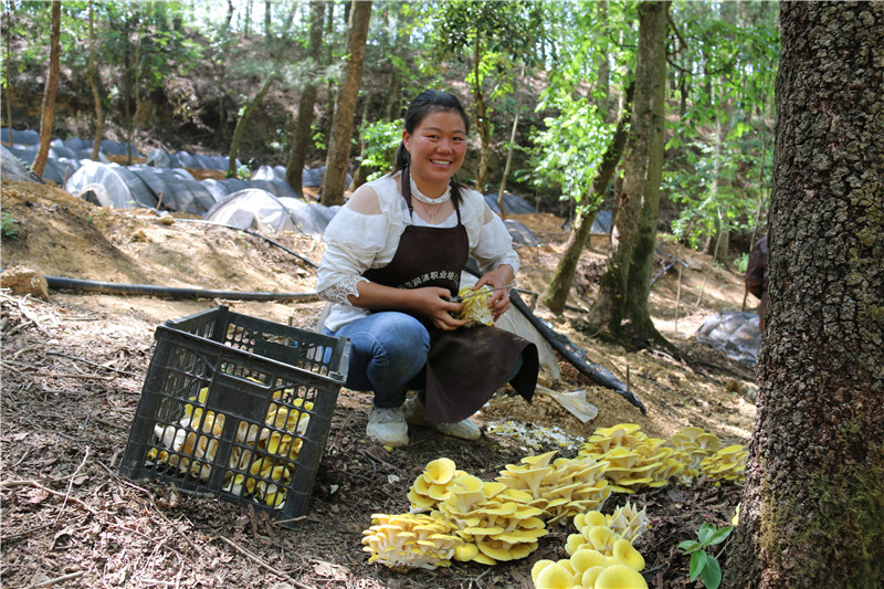 1684720704511778.jpg 8.jpg