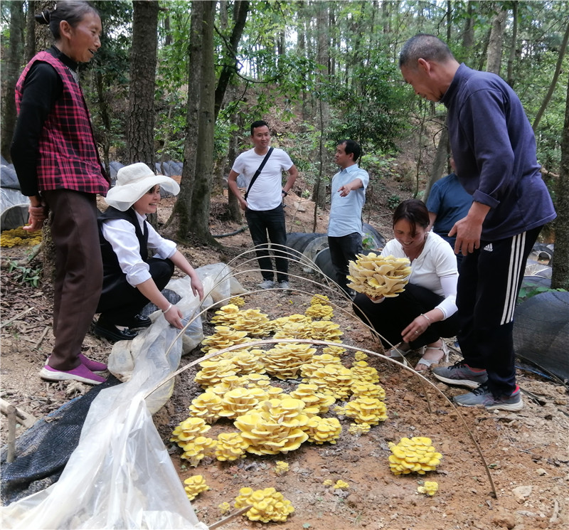 1684720728519414.jpg 6.jpg