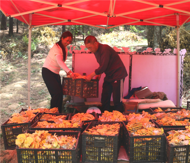 1684720753833817.jpg 7.jpg