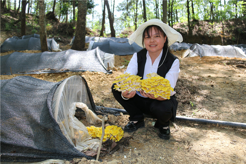 1684720814988454.jpg 2.jpg