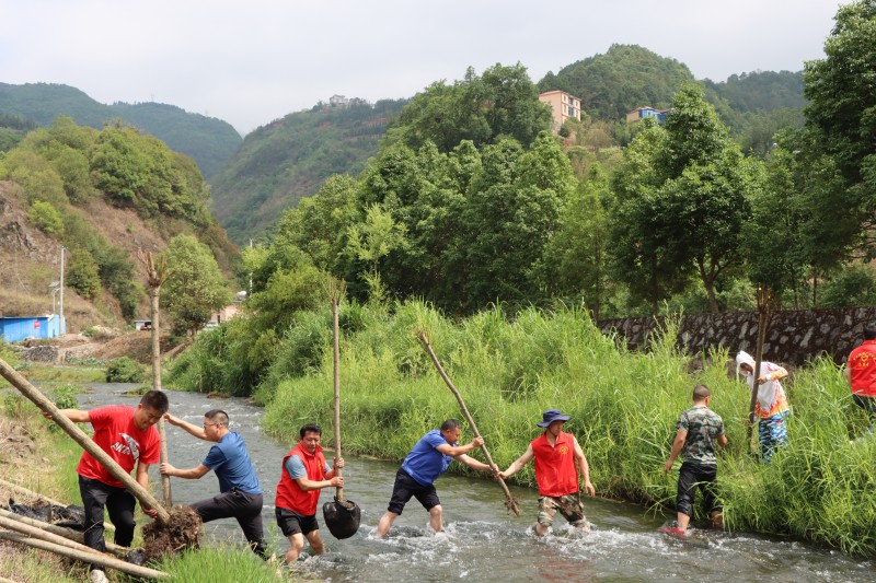 1685085787948078.jpg 1.jpg