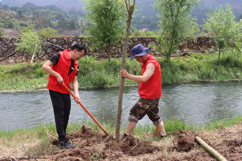 1685085817144601.jpg IMG_1854.JPG