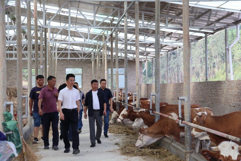 1685403485975291.jpg 1 (1).JPG