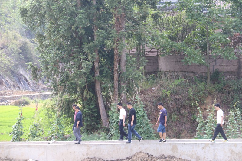 1685403500367247.jpg 1 (2).JPG