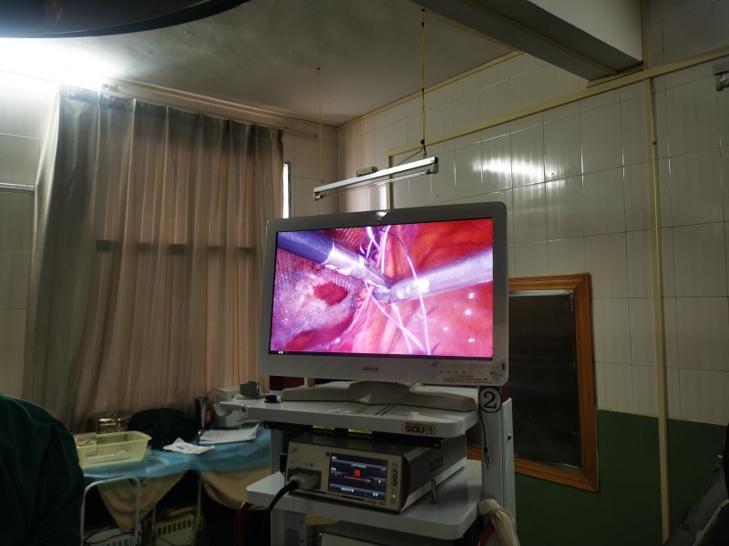 1687222149335499.jpg 8.jpg