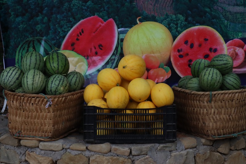 1687310304146889.jpg IMG_6089.JPG