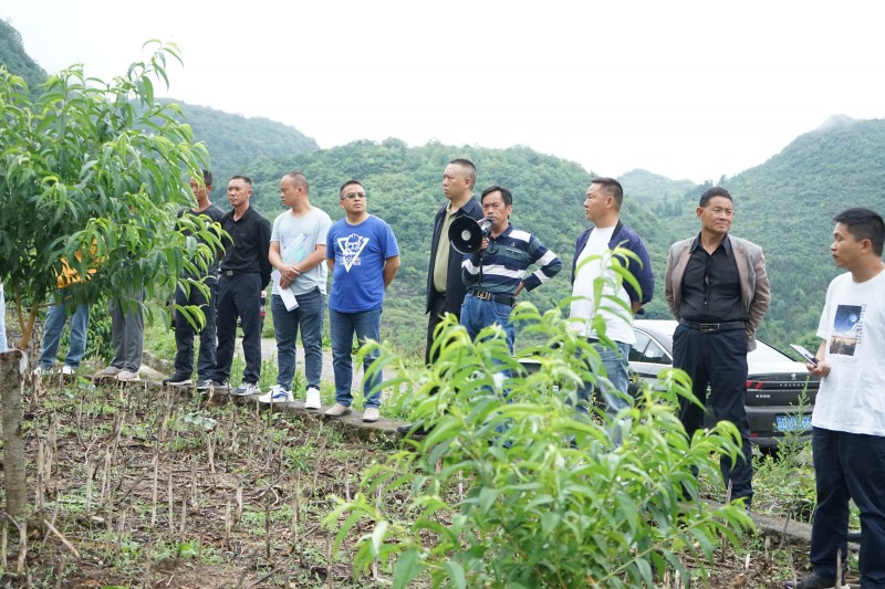 1687507326190725.jpg DSC02771.JPG