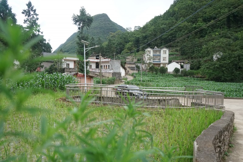 1688602369555047.jpg DSC03591.JPG