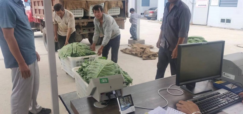 1689815950334797.jpg 65eab20925928e46dbc840b146c1198.jpg