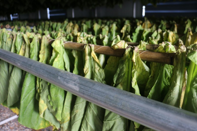 1689815967832095.jpg IMG_1613.JPG