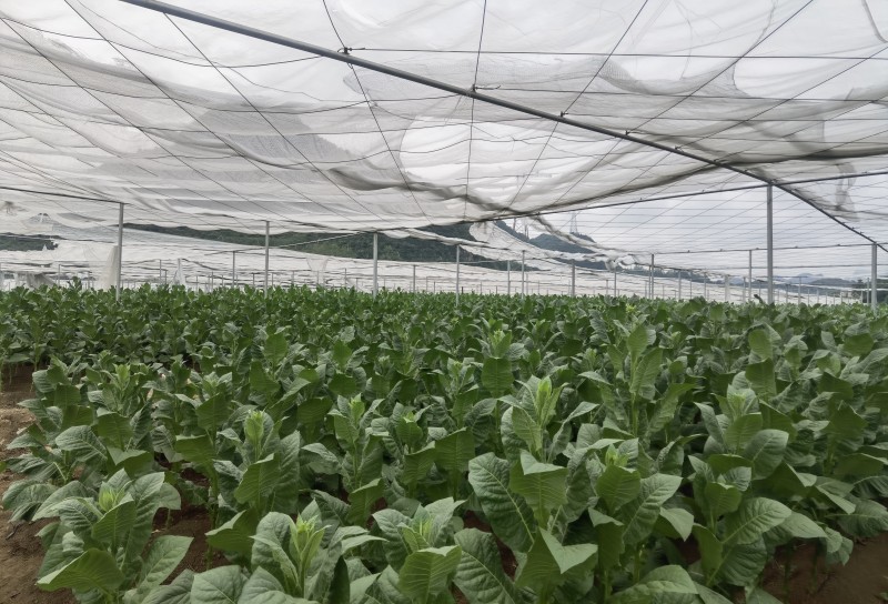 1689816000185120.jpg 微信图片_202307191452152.jpg