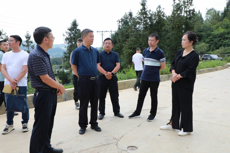 1692946136559390.jpg 1N9A0780.JPG