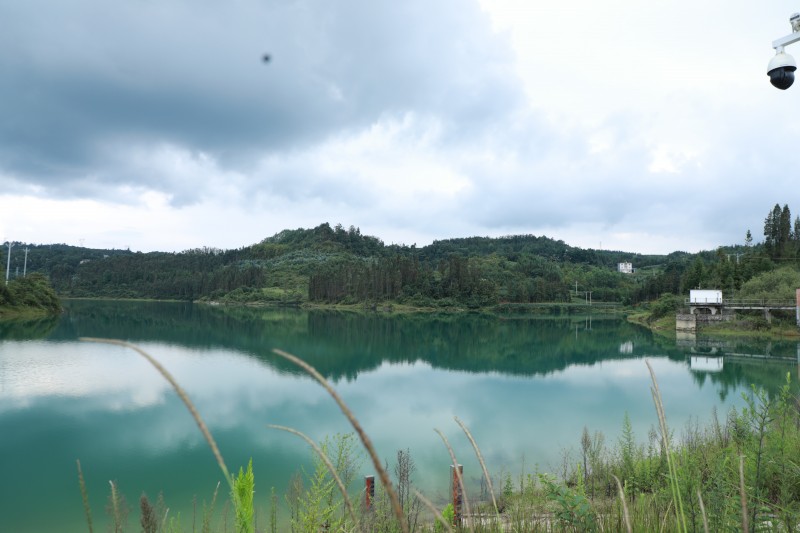 1692946149779453.jpg 1N9A0783.JPG