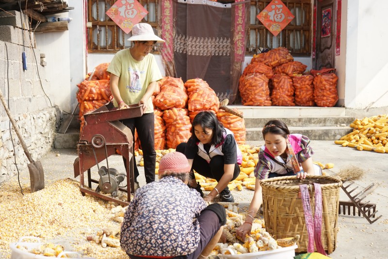 1694996589915033.jpg DSC06181.JPG