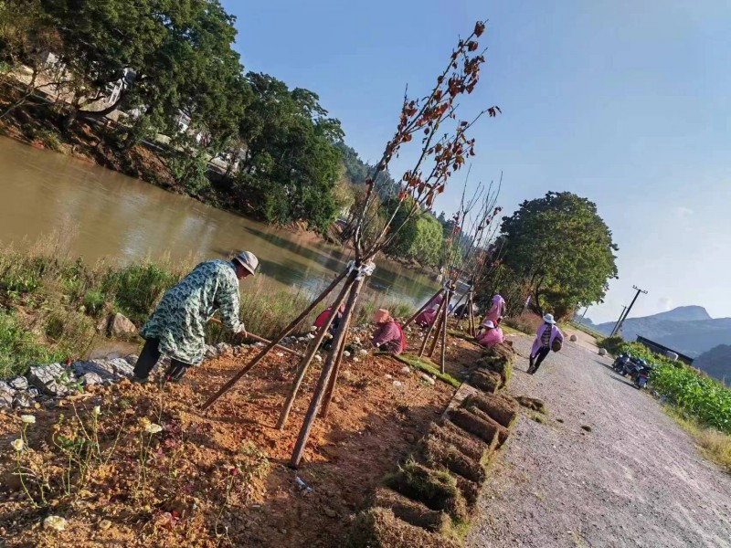 1698798511119454.jpg 微信图片_20231031123341.jpg