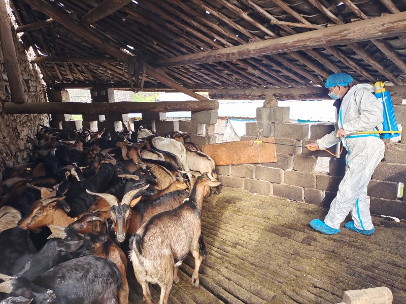 1703746875145591.jpg IMG_20231226_101527.jpg