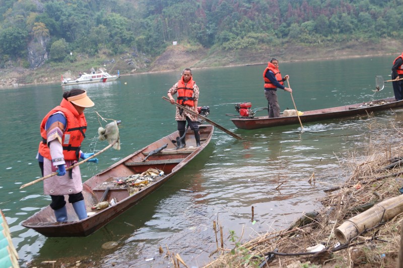 1704435516368673.jpg IMG_6370.JPG