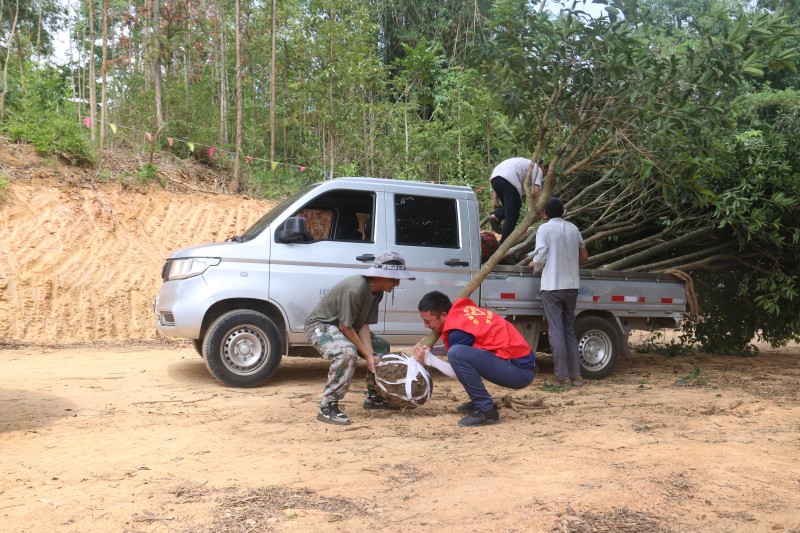 1704435585884088.jpg IMG_3318.JPG