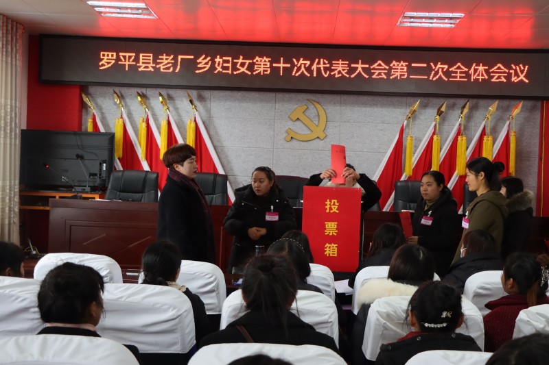 1706145730652285.jpg 3投票.JPG