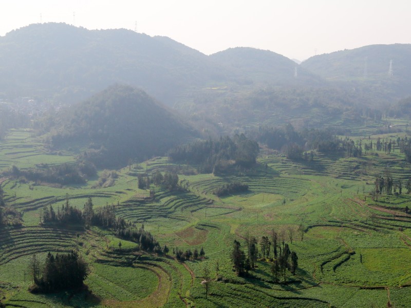 1707292764767355.jpg IMG_6251.jpg